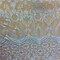 1 Yard Iridescent Blue Damask Lace Fabric Embroidered Mesh for Evening Gowns & Home Decor 48-50” Wide
